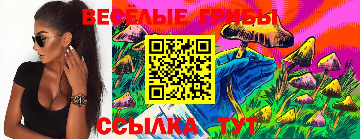 Псилоцибиновые грибы Psilocybe Каменск-Уральский